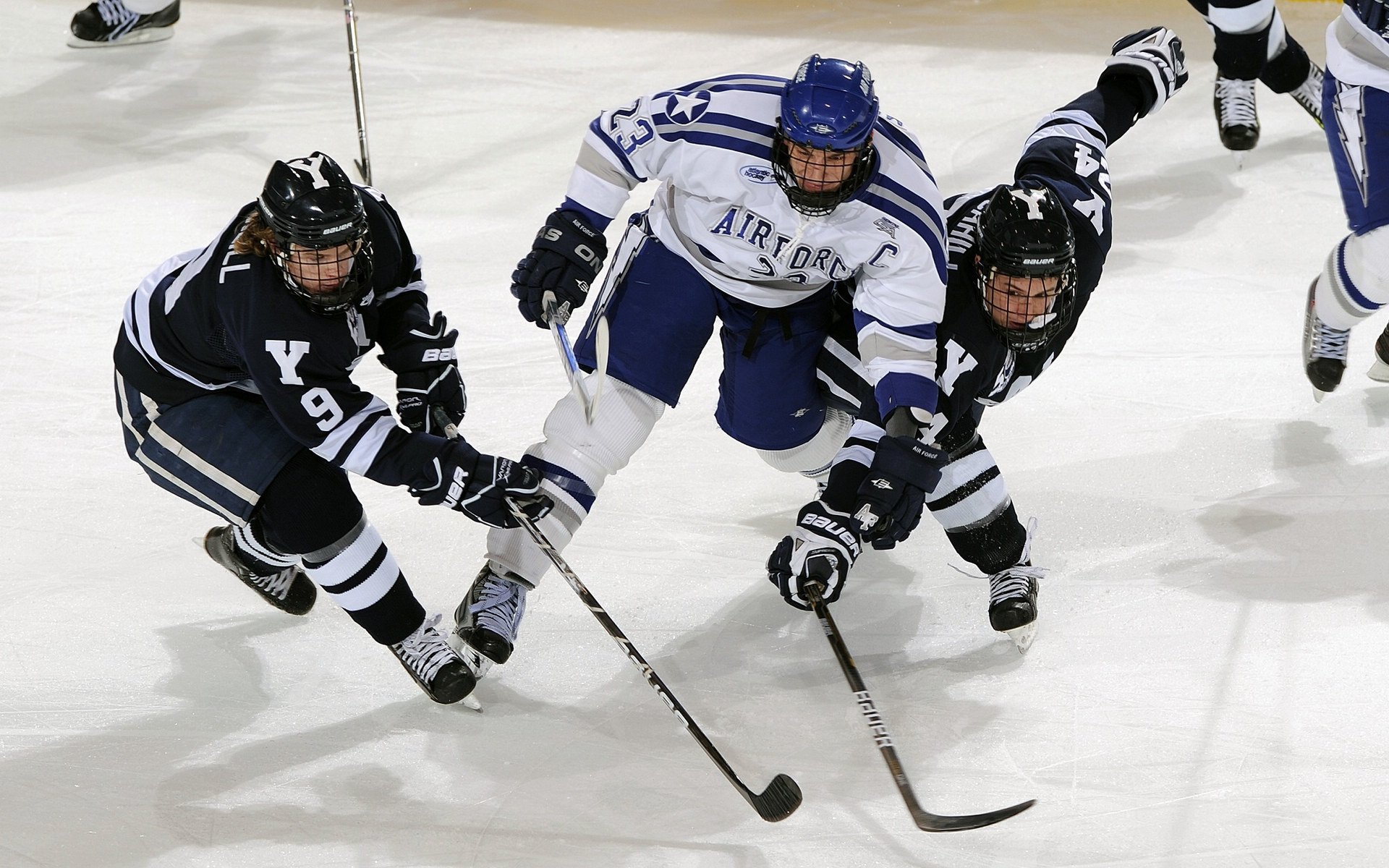 法国队观众热烈欢呼!,Ming迎来二十赛季出色发挥气势如虹延续